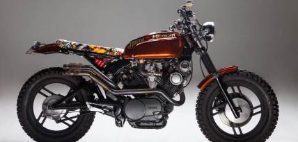 Yamaha Virago 750 Dirty Mexican